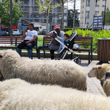 Image du spectacle Rêver la ville de Art, culture, territoire et alimentation