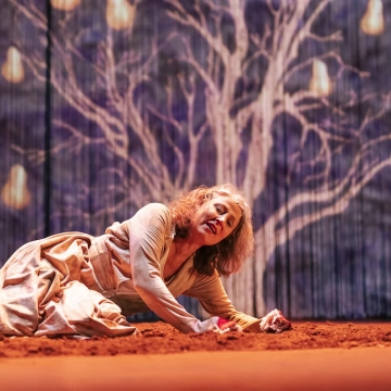 Image du spectacle LA JEUNE FILLE SANS MAIN de Les frères Grimm / Compagnie du Loup-Ange