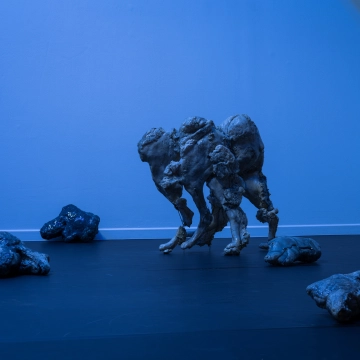Giulia Cenci, marine snow (scuro-scuro), 2019, détail, courtesy de l’artiste et Collection Frac Bretagne, vue de l’exposition Chambre à échos, La Ferme du Buisson, 2026 