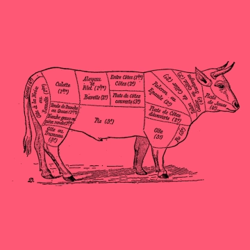 Image du spectacle Rencontre avec Paul Ariès de Pourquoi faut-il encore manger des animaux ?