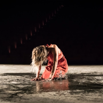 Pauline Bayle / Compagnie À Tire-d’aile