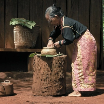 Image du spectacle Nous sommes les fruits de la forêt de de Rithy Panh