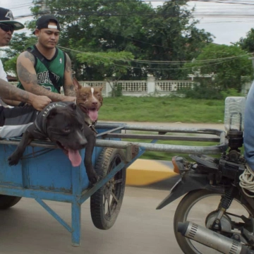 Image du spectacle Khmerica de de Thibaut Amri, Antoine Guide & Lucas Sénécaut