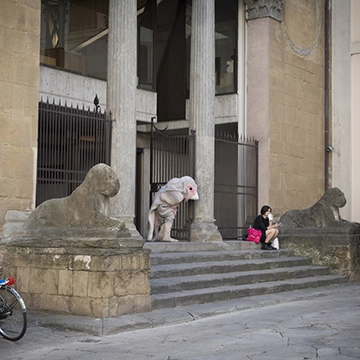 Image du spectacle Petrit Halilaj de Friends of Birds