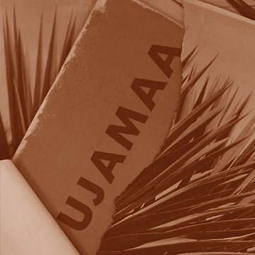 Image du spectacle Kapwani Kiwanga de Collection Digressions