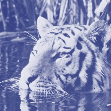 Image du spectacle Virginie Yassef de collection Digressions